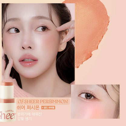 MAKEheal Tinted Sheer Stick Blusher-05 Sheer Persimmon 6g