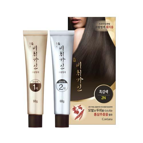 Bichigain Yoongimo Cream Hair Color-2N 120g